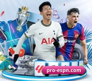 五大服务分区,信息按项目分类 | espnapp