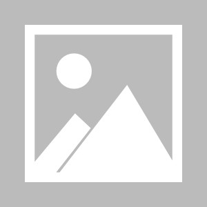 espn-北京2027田径世锦赛商业关联方研讨会圆满举行|赛事|组委会|合作|电通|会议