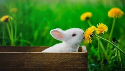 espn-骑士强势开局斩获两连胜 年轻双核终呈光明未来